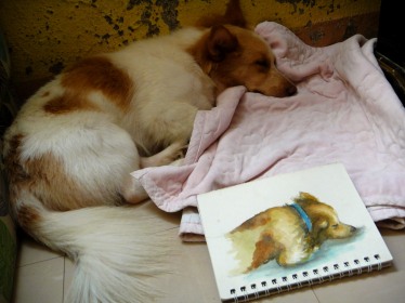 watercolor drawing furry buddy Cody